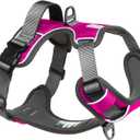 Embark Adventure Large Dog Harness  No-Pull, Reflective Trim, Military-Grade Nylon, Front Clip with Gel-Lined Handle (Pink)