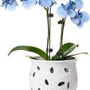 LE TAUCI Ceramic Orchid Pot, 6.5 Inch Orchid Pots with Holes, Orchid Planter for Repotting, Indoor Flower Plant Pot with Drainage and Saucer, White