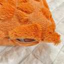 Easter Throw Pillow Covers 18x18 Set of 2, Easter Decorations, Soft Plush Faux Fur Jacquard Carrot Throw Pillow Covers for Bedroom Sofa Couch, Orange Pillow Cases, Home Decor