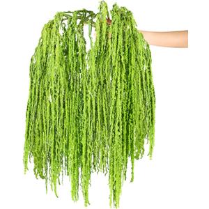 Suncalla 12 Pcs Green Spring Natural Dried Amaranthus Hanging Flowers Amaranthus Artificial Flowers for Wedding Arch Bouquet Floral Garland Wall Home Decoration (23 Inch)