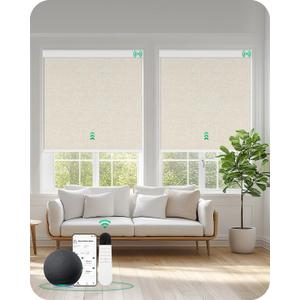 Allesin Motorized Blinds with Remote Smart Blackout Roller Shades | All-in-One & Ultra-Quiet Automatic Electric Power Blinds for Home Office, Sand-Linen 22x72