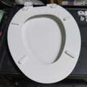 KOHLER Stonewood Quiet-Close, Elongated Toilet Seat Soft Close, Durable Wood, Easy Installation, Universal Fit, Home Essentials, Biscuit Finish, K-20466-96