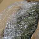 8 Pcs Small Christmas Norfolk Wreaths 15 Inch Christmas Kitchen Cabinet Mini Wreath Real Touch with Bow Ribbon Cedar Red Berry for Xmas Front Door Window Chair Fireplace Table Pillar Farmhouse Decor