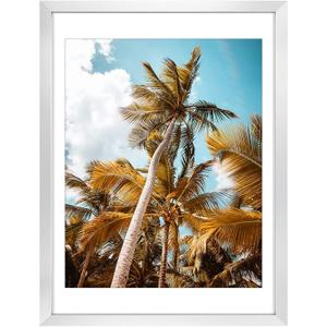 Frametory, 18x24 Picture Frame with Mat for 16x20 Picture - High Definition Glass Wide Molding - Preinstalled Wall Mounting Hardware (Silver, 1 Pack)