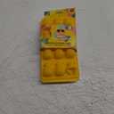 Pineapples Ice Cube Trays (2-Pack) - Silicone - Dishwasher Safe - Evriholder