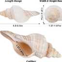 SINKOO 2PCS Conch Shell Large Natural Seashells Perfect for Fish Tank Wedding Decor Beach Theme Party Home Decorations