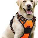rabbitgoo Dog Harness No Pull with 2 Leash Clips, Adjustable Soft Padded, Reflective Oxford No Choke Pet Vest with Easy Control Handle for Large Dogs, Orange, L