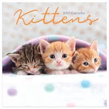 TF PUBLISHING 2025 Kittens Wall Calendar | Large Grids for Appointments and Scheduling | Vertical Monthly Wall Calendar 2025 | Home and Office Organization | Premium Gloss Paper | 12"x12