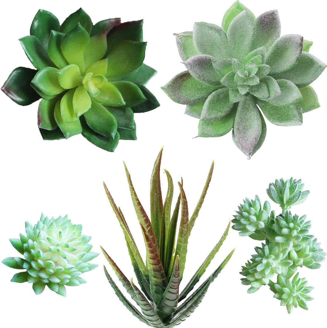 Supla 5 Pcs Assorted Artificial Succulents Plants Unpotted Small Green Cactus Echeveria Picks Fake Succulents Bulk for Succulent Garden Centerpiece Wreath Floral Arrangement Indoor Outdoor Home Dcor