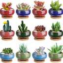 Lawei 12 Pack Ice Crack Succulent Pots with Bamboo Saucer - Ceramic Mini Cactus Plant Pots Flower Pots Container Planter for Home Garden Office Decoration