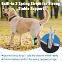 Dog Leg Braces for Back & Front Legs- Dog Hock & Ankle Joint Brace for Weak Back Legs with 2 Metal Strips, Reflective Trim for Sprain, Injury, Arthritis, Wound Recovery,Black,XL