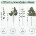 Eucalyptus Stems Bulk 30 Pcs, 4 Kinds Mixed Artificial Silver Dollar Eucalyptus Leaves Bundle Faux Greenery Branches for Wedding Vase Bouquet Floral Arrangement Centerpiece Home Decor
