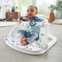 Fisher-Price Portable Baby Chair Sit-Me-Up Floor Seat With Developmental Toys & Machine Washable Seat Pad, Pacific Pebble
