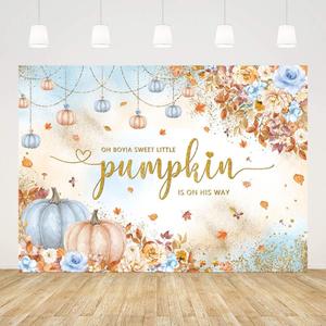 7x5ft Baby Shower Backdrop Oh Boy A Sweet Little Pumpkin is On His Way Background for Boy Pink Blue Pumpkins Flowers Decorations Banner Photography