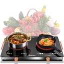 2 Burner Electric Cooktop - 24 Inch Electric Stove 110V, 2000W Portable Electrics Stove Top with Handle, 9 Power Settings, Senor Touch & Knob Control, Safety Lock, Timer, 110-120V Plug in