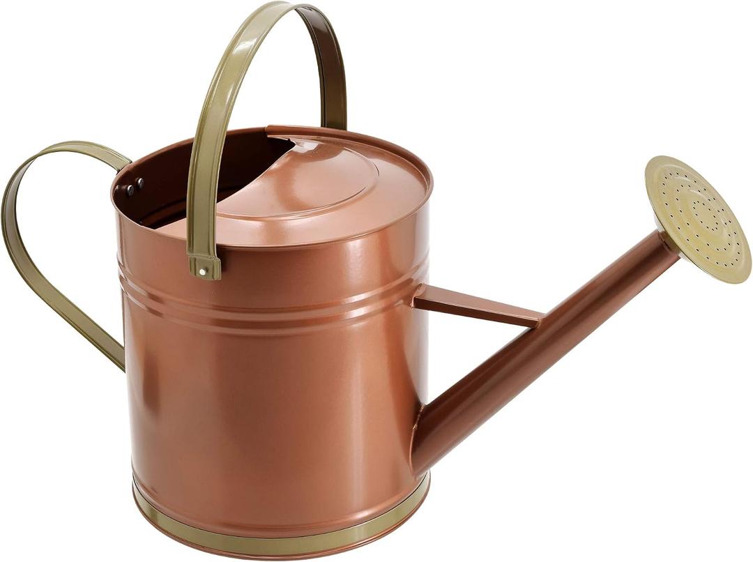 Classic Shiny Galvanized Metal Watering Can, Easy-Pour, Indoor and Outdoor, 2.6 gal, Shiny Galvanized Metal