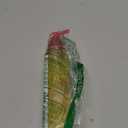 Bioderma Sensibio Micellar Cleansing Oil, 1st Ecobiological Micellar Formula Gentle Face Cleanser That Deeply Cleanses (4.98 Fl Oz (Pack of 1))