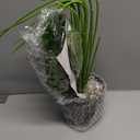 florisso 28" Artificial Monstera Plant Tall Fake Faux Plants Indoor Outdoor Tree for Living Room Home House Decoration