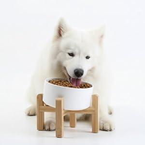 Petygooing White Elevated/ Raised 15°Slanted Ceramic Dog Bowl for Small and Medium Breeds, Tilted Anti Slip Pet Feeding Bowl, Food Water Dish with Stand for Cats and Dogs (28 OZ/ 3.6 Cups)