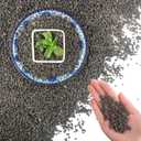 Mulctun 45Lb Horticultural Lava Rock-Lava Rocks for Plants,Succulent Soil Amendment,Decorative Cactus Soil Potting Mix,Volcanic Rock for Aquarium Fairy Gardening Top Dressing Plant Drainage