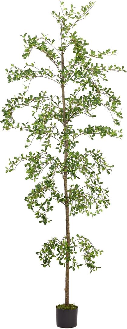 Shady Lady Faux Tree 7ft for Home Décor Black Olive Tree 84inches Realistic Fake Potted Plants with Moss Indoor Bucida Buceras Artificial Tall Trees with Natural Wood Trunk Housewarming Outdoor