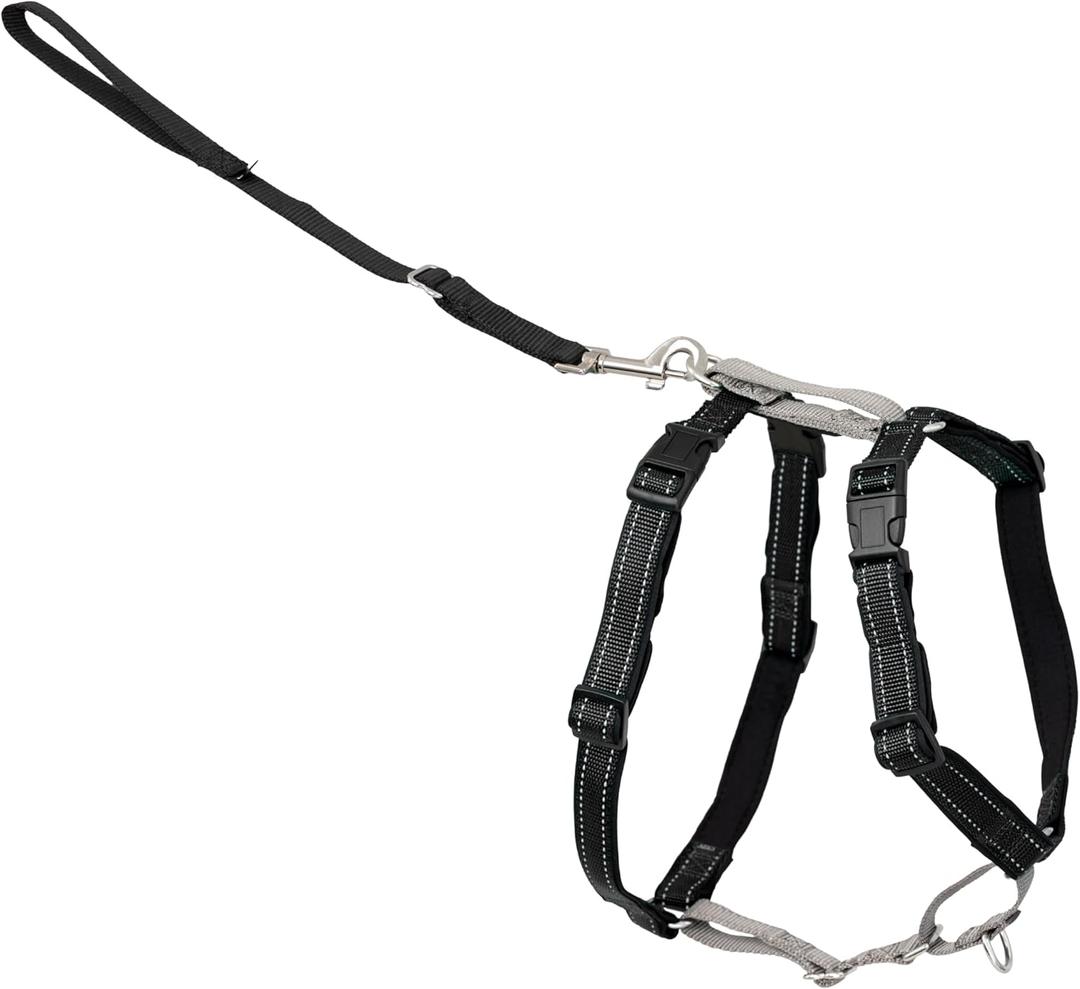 PetSafe 3 in 1 Dog Harness - No Pull Solution for Dogs - Reflective Dog Harness - Front D-Ring Clip Helps Stop Pulling - Comfortable Padded Straps - Top Handle Enhances Control - Black - Extra Small