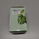 LePe Crushed-Glass, Translucent Broken GlassDecorative for Resin Art, Fire Pits, Potted Plants, Garden and Indoor Use, 3-6mm, 1 Pound in Jar(Navy Blue) (Aquamarine)