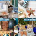 Puzzled Nautical Orange Starfish Set - Decorative Beach Style Tabletop Centerpiece, Realistic Resin Sea Coral Reef Starfishes for Home Decor - 3 Pieces, Handmade