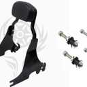 Detachable Sissybar Fits for Harley Sportster XL 1200/ Iron 883/ Forty-Eight/Seventy-Two Chop Style 2004-2022 (Gloss Black)