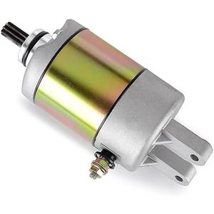 Starter Electrical Engine Starter Motor Replace for Linhai for Bighorn 260 300 400 2x4 4x4 ATV UTV for Big-Daddy 260 ATV 4HC-81890-00