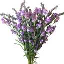 TEMPUS 10Pcs Artificial Flower Bulk Spring/Summer Flowers Wedding Party Vase Bouquet Floral Arrangement Home Decor Indoor Decor(Purple)