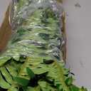 Boston Fern Silk Arrangements Artificial Flowers