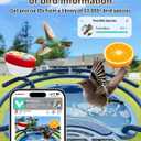 Bird Feeder with Camera, AI Recognition, Bird Bath, Solar Powered