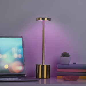 MERKURY Metal LED Touch Lamp Cordless Multicolor Mood Light
