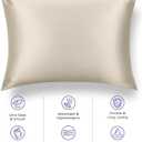 Tafts Silk Pillow Cases - 22mm 100% Pure Mulberry 6A Silk Pillowcase for Hair & Skin with Zipper Closure, Cooling, Natural, Organic, Double Sided Pillow Case (Nude, Queen 20x30 1pc)