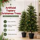 4FT Norfolk Pine Tree with Lights, Christmas Tree for Xmas Decor