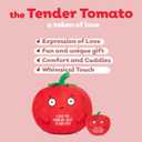 2 x Big Tender Tomato Plushie - Super Soft Stuffed Animal | Adorable Love Gift for Boyfriend, Girlfriend, Husband, Wife, Mom, Dad, Kids, or Best Friend | Valentines Day Gifts for Her or Him