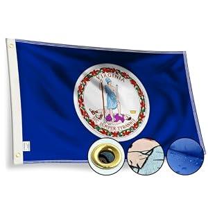 STREBAN Virginia Flag 3x5 Outdoor - Embroidered Design Heavy Duty Polyester VA Flag with Sewn Stripes, Brass Grommets