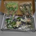 Layhit 24 Pcs Boho Dried Flower Bouquet Mini Wedding Handmade Dry Flowers Decor for Vase Crafts DIY Photo Boutonniere for Men Floral Plant for Bridesmaid Gift Birthday Decor(Greenery)