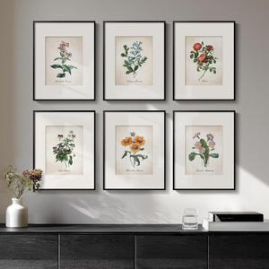 Framed Botanical Floral Wall Art, Set of 6 Vintage Wildflower Prints with Mat, Rustic Farmhouse Nature Flowers Artwork for Bedroom Living Room Hallway Dining Room Modern Neutral Home Decor, 11x14 In (Blooming - Black Framed)