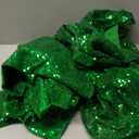 Green Sequin Backdrop Curtain 2 Pieces 2FTx8FT Glitter Photography Backdrop for Party Wedding Birthday Christmas Decorations