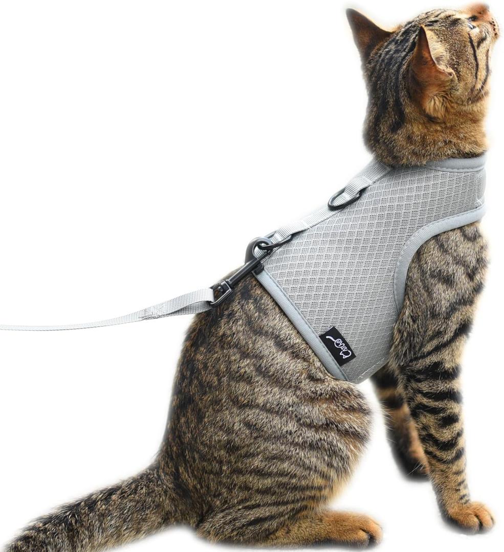 Kitty Harness and Leash for Walking Escape Proof Breathable Mesh Fabric, Solid Grey, Small, Adjustable Cat Walking Jackets, Padded Stylish Cat Vest (S 4-6LBS)