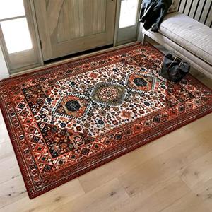 Collive Indoor Door Mat Retro Floor Mat, Non Slip Washable Doormat Large Size Quickly Absorb Welcome Mats Low-Pile Front Door Rug Inside Entryway Carpet for Entrance - 36" x 59"