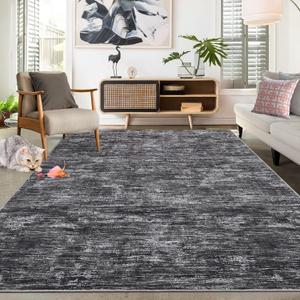RUGSREAL Washable Rug 10x13 for Living Room Modern Abstract Area Rug Non-Slip Large Contemporary Bedroom Rug Stain Resistant Aesthetic Accent Floor Carpet Foldable Solid Rug for Home Office, Dark Grey