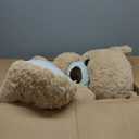 IKASA Giant Teddy Bear Plush Toy Stuffed Animals (Brown, 63 inches)