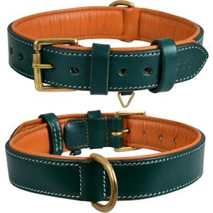 Genuine Leather Dog Collar 1" Wide Full Grain, Padded, Heavy Duty with Brass Buckle for Dogs (Medium (Fit Neck Size 14.5"-18.5"), Teal Green)