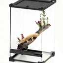 Reptile Tall Glass Terrarium Rainforest Habitat Single Door with Screen Ventilation,Small Reptile Terrarium for Spiders, Tarantulas, Snail, Mantis, Lizard (10 * 10 * 13.8 inch)