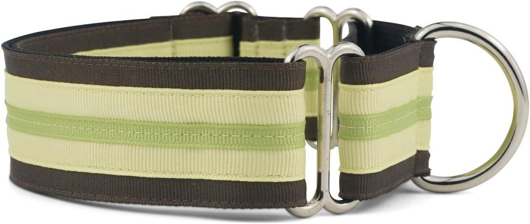 If It Barks 1.5" Martingale Collar for Dogs, Adjustable Nylon, Made in USA,Key Lime Pie,Small (11" - 15")