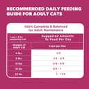IAMS Proactive Health Dry Cat Food, Urinary Tract Health, Adult Cat Food Dry Recipe with Chicken, 7 lb. Bag (EXP 07/05/26)