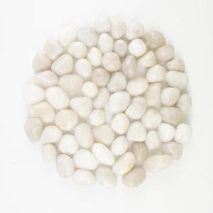 River Rocks - Natural Polished White Pebbles, 0.5-1 inch, 40 lbs - Perfect for Indoor Planting, Vase Filling, Aquarium Decoration, and Garden Landscaping (White, Weight: 40 LB)